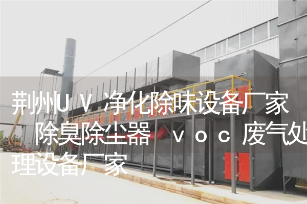 荆州UV净化除味设备厂家 除臭除尘器 voc废气处理设备厂家